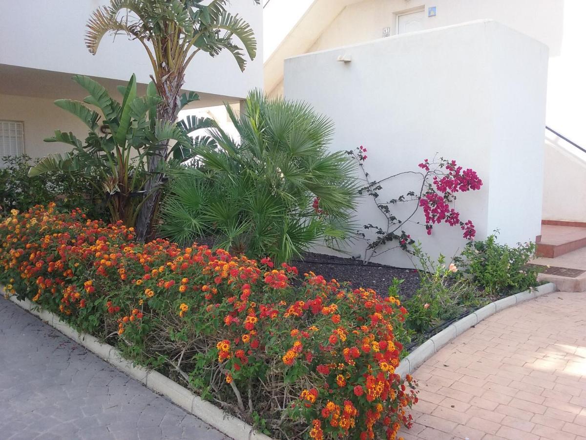 El Pozo del Esparto Apartamento Junto Al Mar En La Costa De Almeria מראה חיצוני תמונה